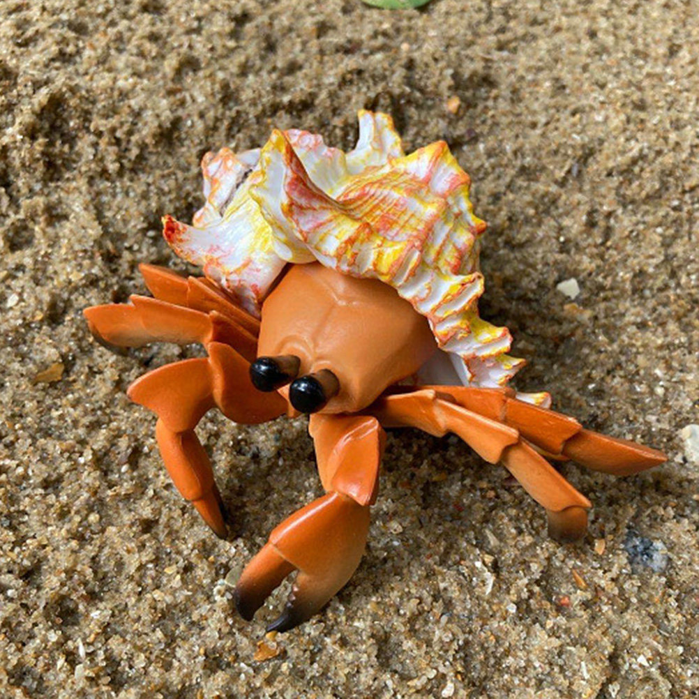 Marine Aquarium Europe - Kepiting Hermit Simulasi, Kepiting Pagurian Buatan,