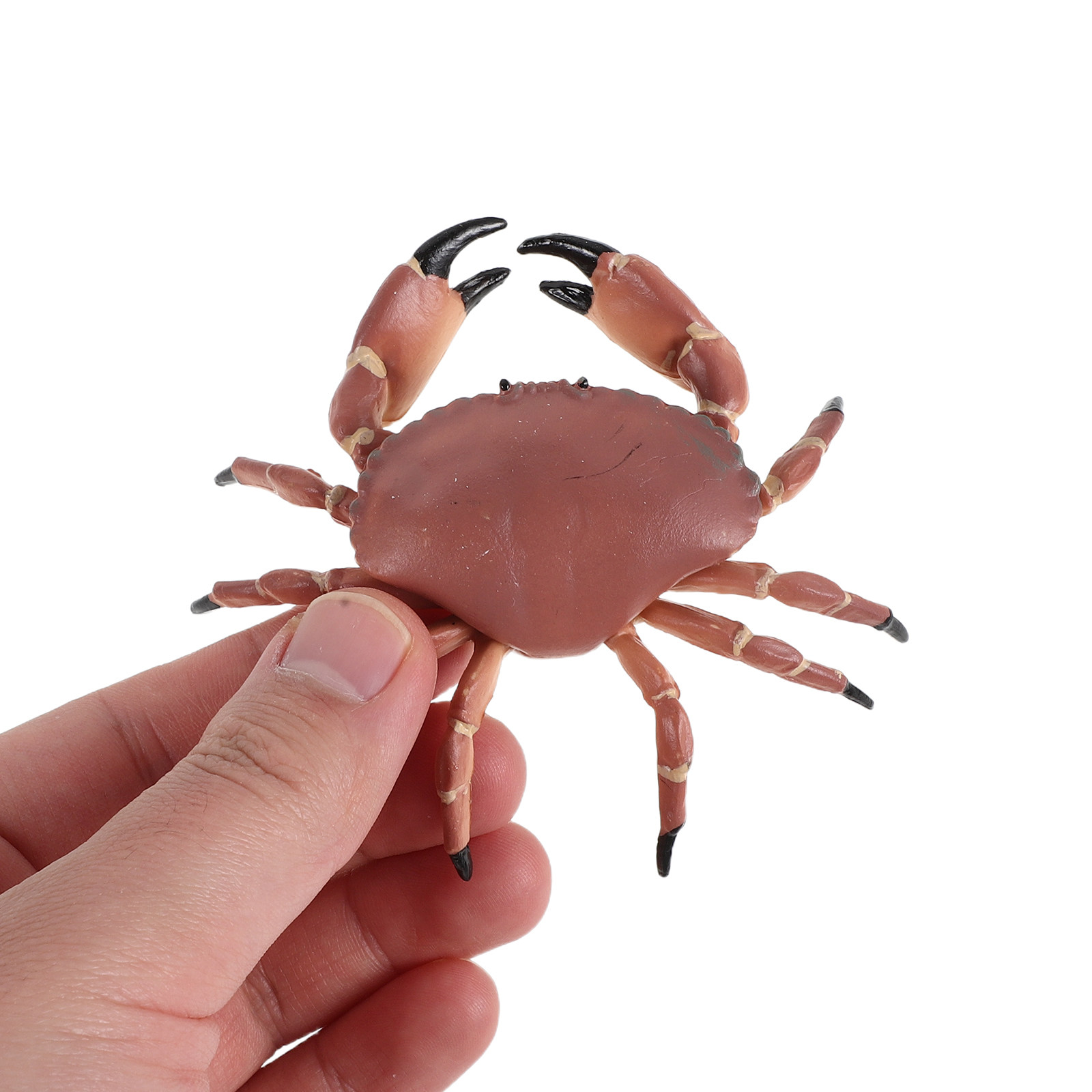 Marine Aquarium Europe - 3Pcs Figur Kepiting Plastik Realistis Simulasi