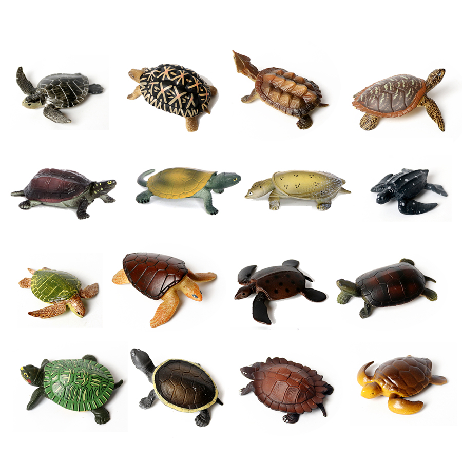 Aquarium Marine - Miniatur realistis kehidupan laut Model kura-kura