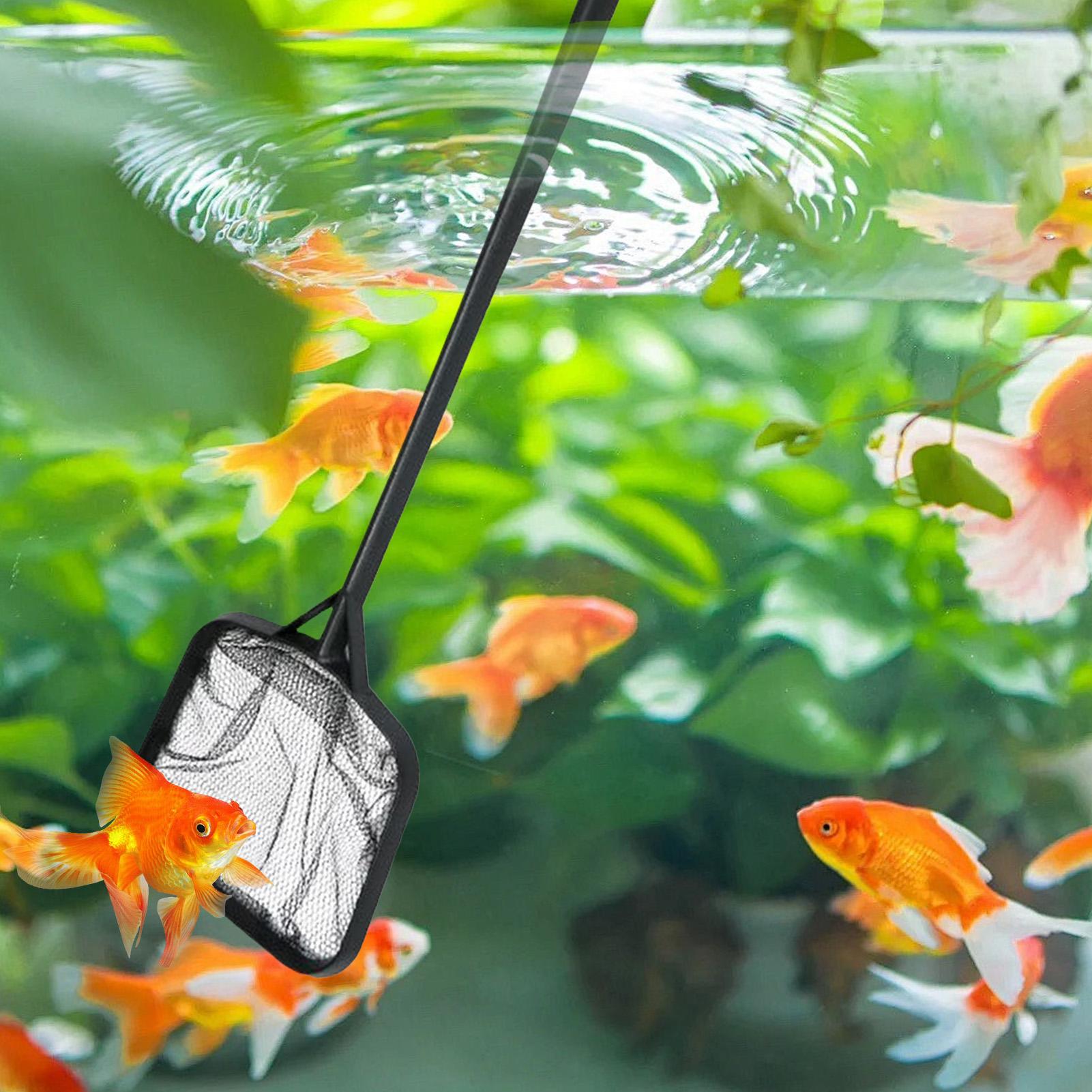 Jaring Kolam Renang untuk Memb - Aquarium Marine ulasan dan harga