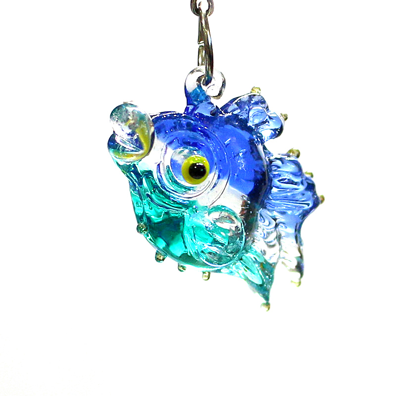 2 pcs kecil ikan laut pesona k - Marine Aquarium Europe ulasan dan harga