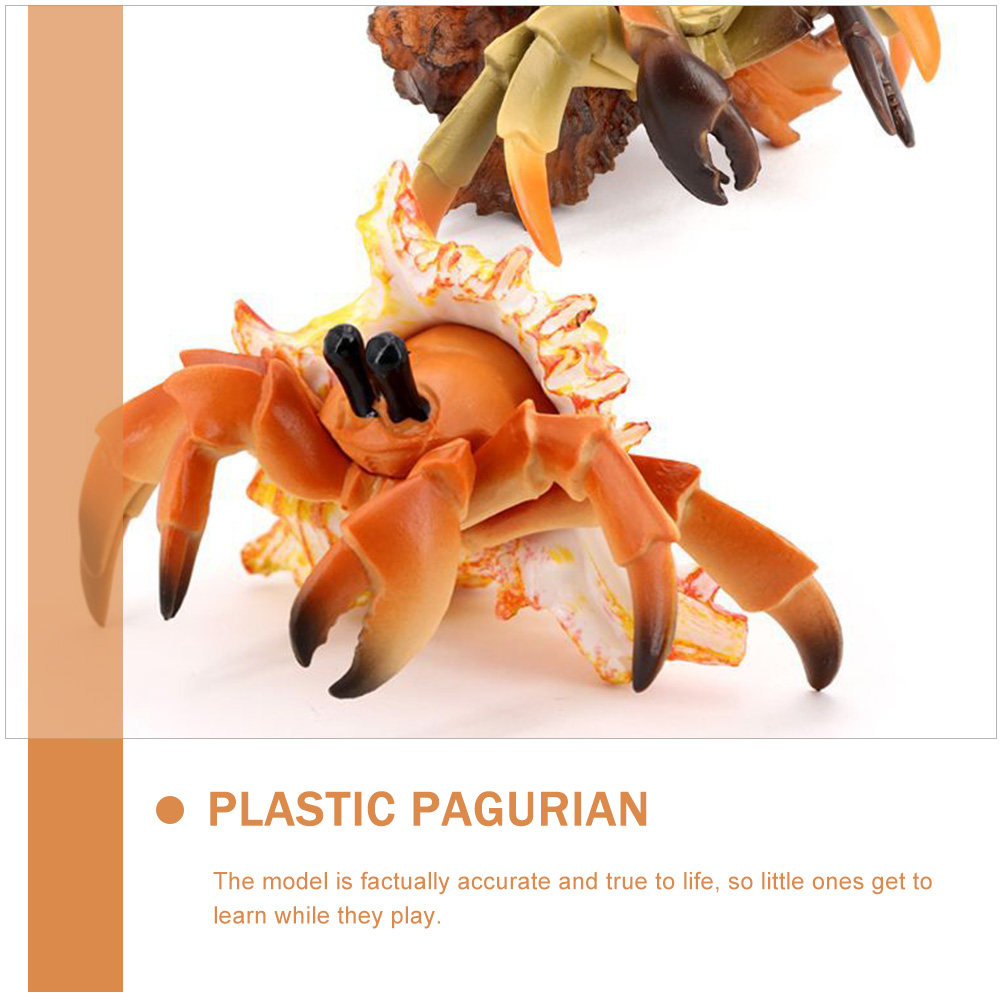 Kepiting Hermit Simulasi, Kepi - Marine Aquarium Europe ulasan dan harga