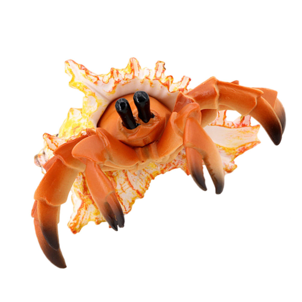 Kepiting Hermit Simulasi, Kepi - Marine Aquarium Europe ulasan dan harga