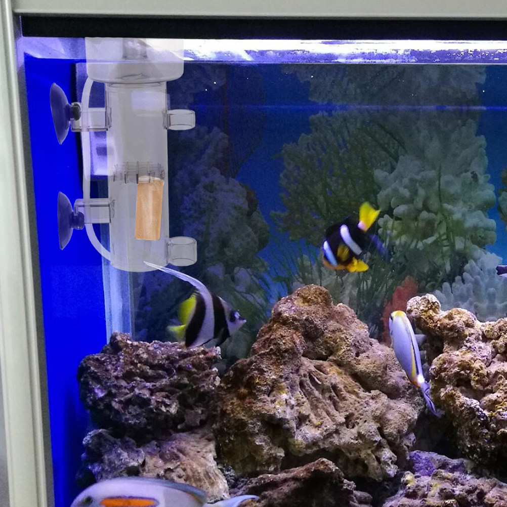 Protein Skimmer Internal Mini  - Aquarium Marine ulasan dan harga