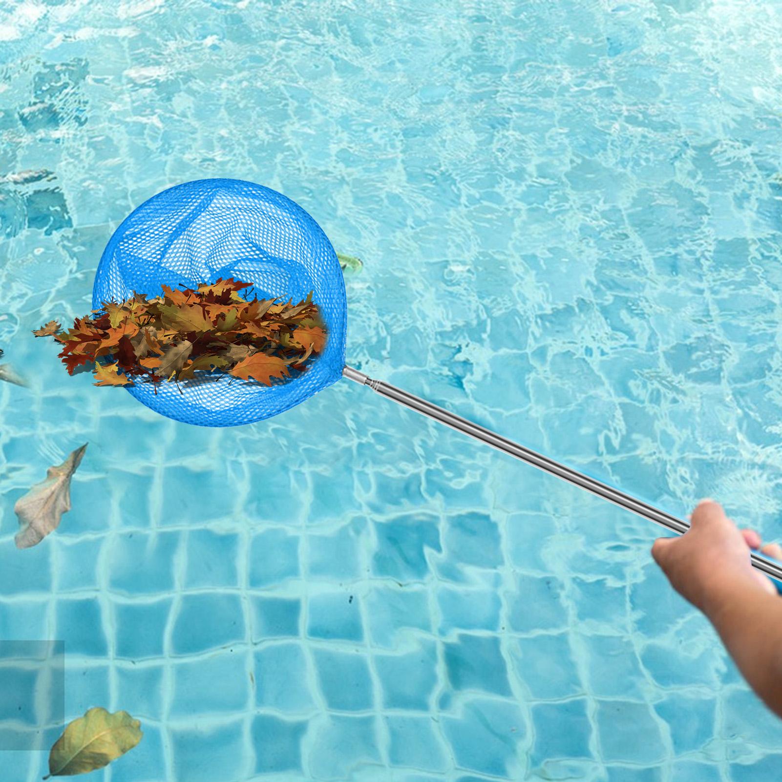 Jaring Skimmer Kolam Renang de - Aquarium Marine ulasan dan harga