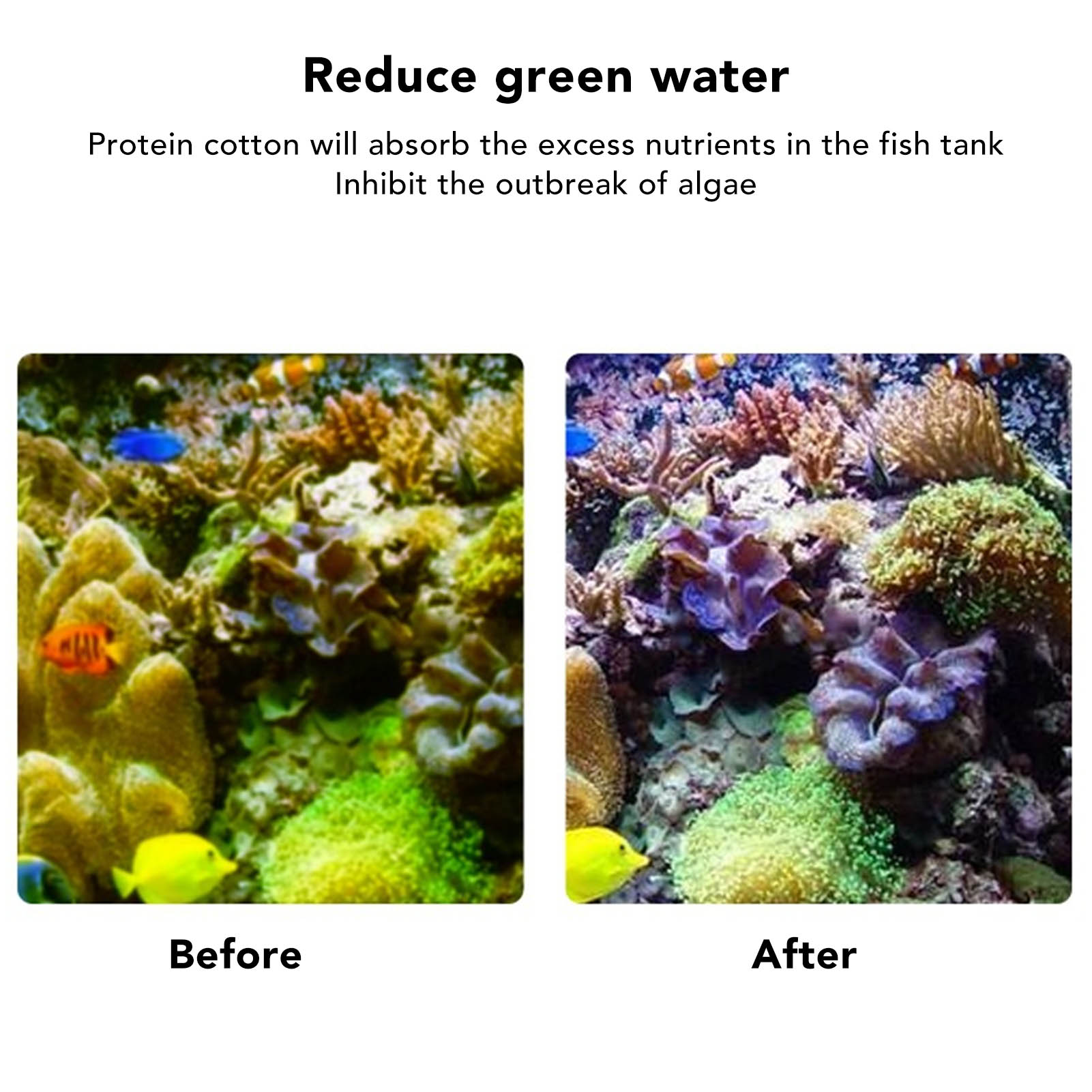 Resin Filter Ikan Resin Filtra - Marine Aquarium Filter Media ulasan dan harga